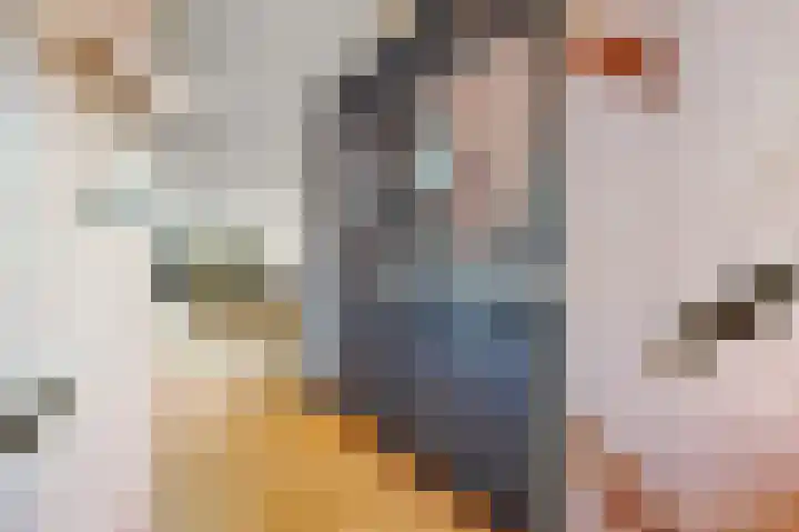 Schouw 49 Schipluiden thumbnail 22