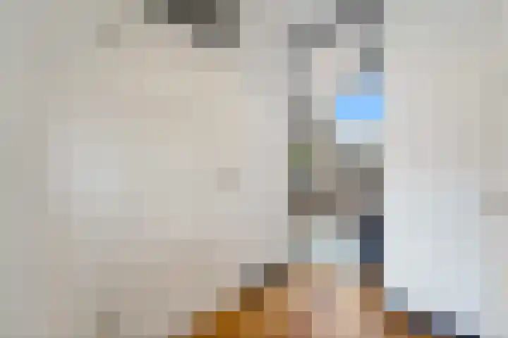 Schouw 49 Schipluiden thumbnail 26