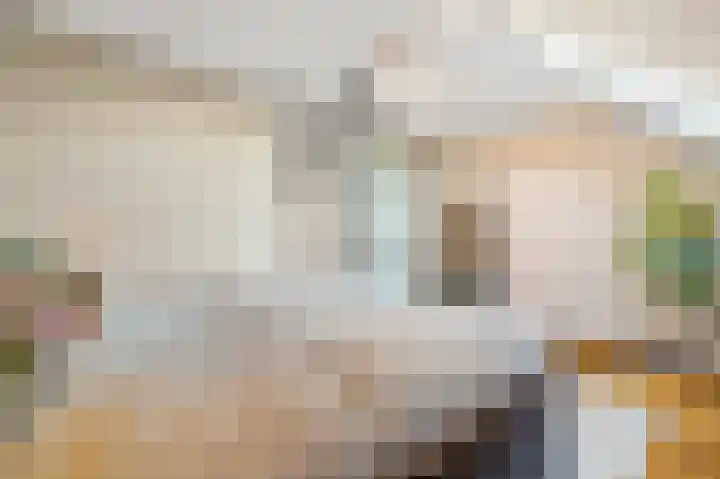Schouw 49 Schipluiden thumbnail 28