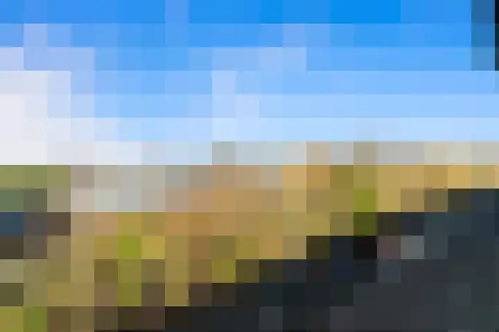 Schouw 49 Schipluiden thumbnail 29