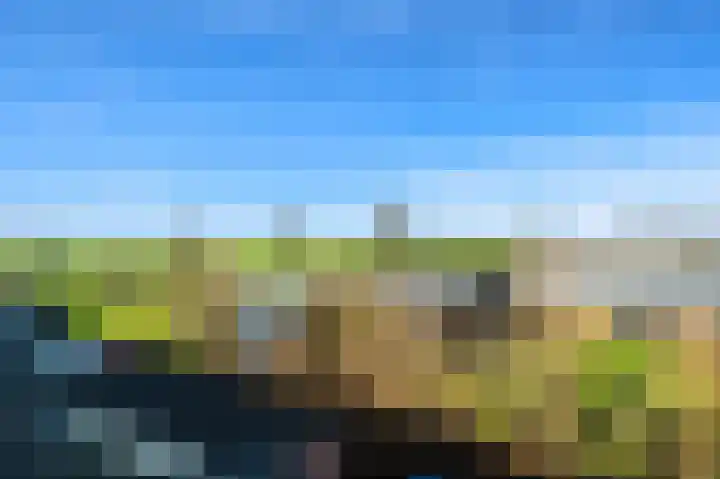 Schouw 49 Schipluiden thumbnail 30