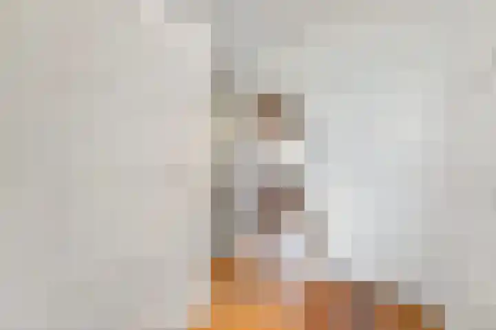Schouw 49 Schipluiden thumbnail 31