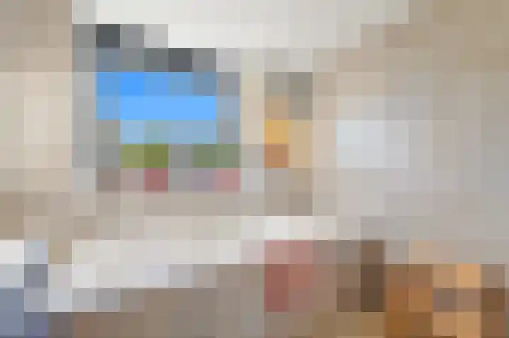 Schouw 49 Schipluiden thumbnail 32