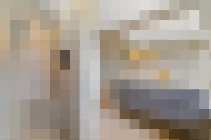 Schouw 49 Schipluiden thumbnail 33
