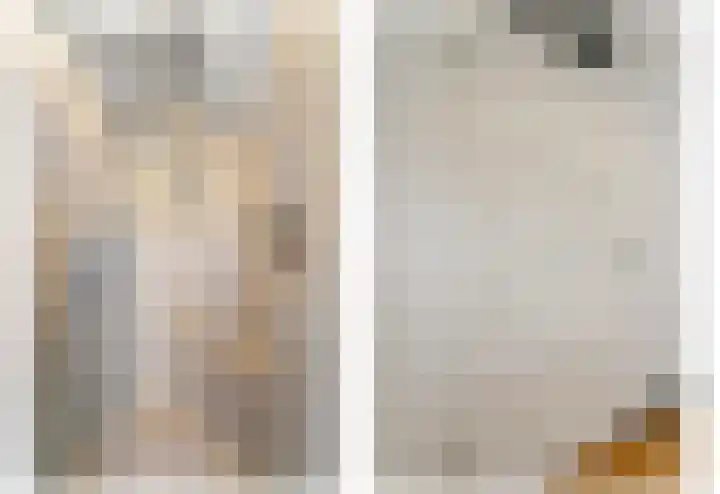 Schouw 49 Schipluiden thumbnail 34