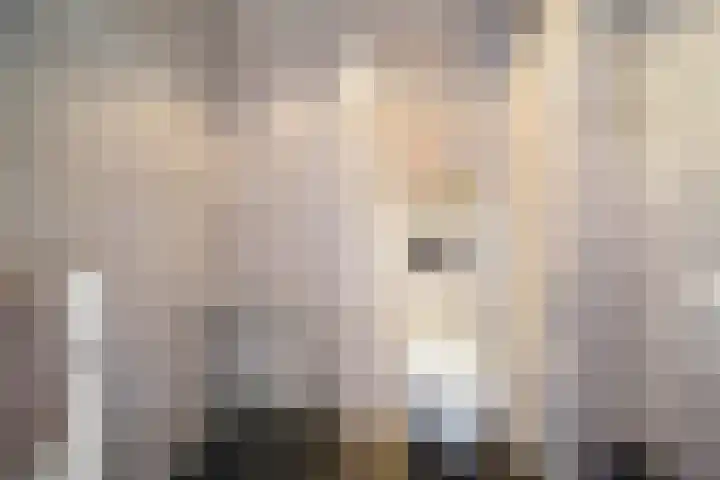 Schouw 49 Schipluiden thumbnail 35