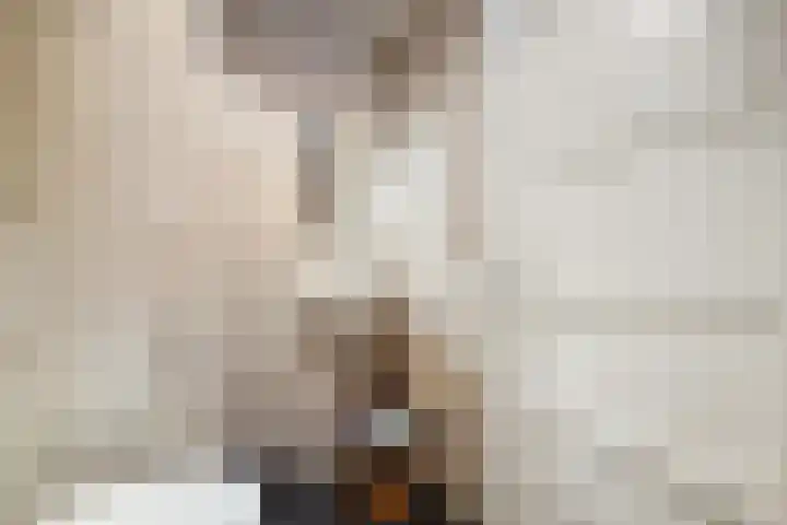 Schouw 49 Schipluiden thumbnail 36