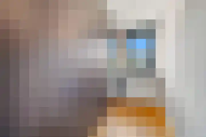 Schouw 49 Schipluiden thumbnail 37
