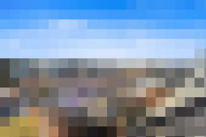 Schouw 49 Schipluiden thumbnail 39