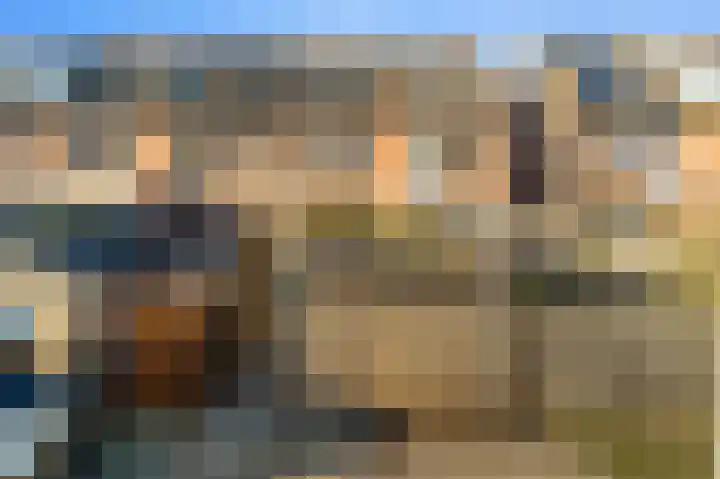 Schouw 49 Schipluiden thumbnail 4