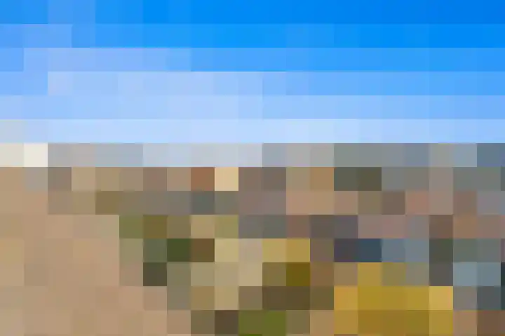 Schouw 49 Schipluiden thumbnail 40
