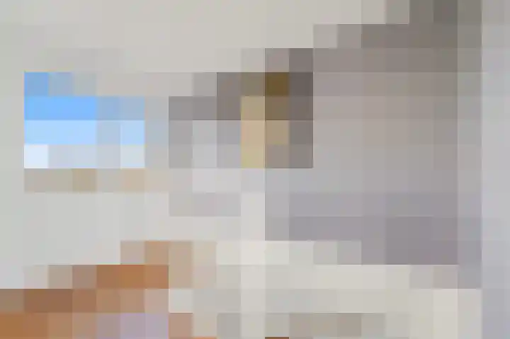 Schouw 49 Schipluiden thumbnail 43