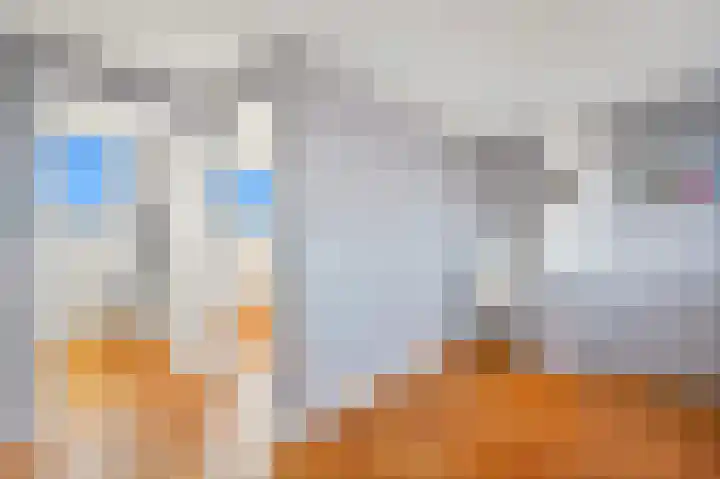 Schouw 49 Schipluiden thumbnail 44