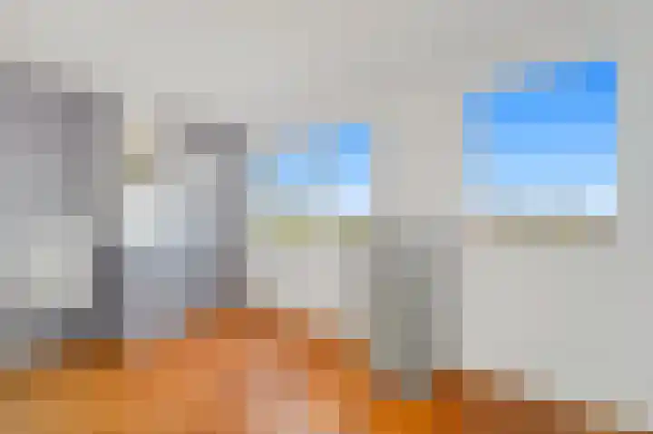 Schouw 49 Schipluiden thumbnail 45