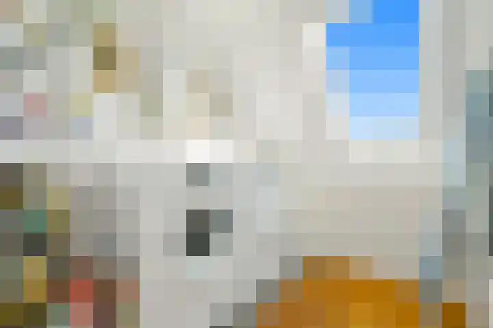 Schouw 49 Schipluiden thumbnail 46