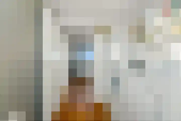 Schouw 49 Schipluiden thumbnail 47