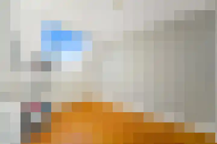 Schouw 49 Schipluiden thumbnail 48