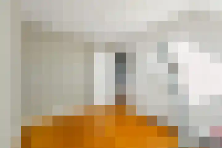 Schouw 49 Schipluiden thumbnail 49