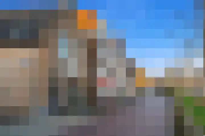 Schouw 49 Schipluiden thumbnail 53