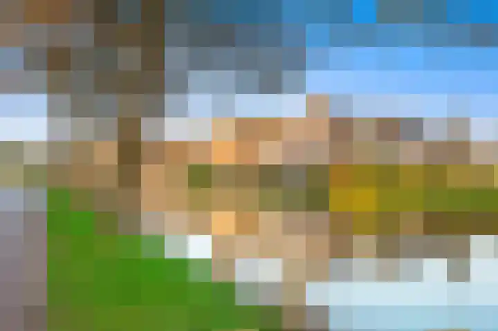 Schouw 49 Schipluiden thumbnail 54