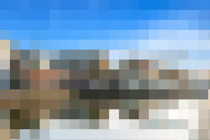 Schouw 49 Schipluiden thumbnail 57