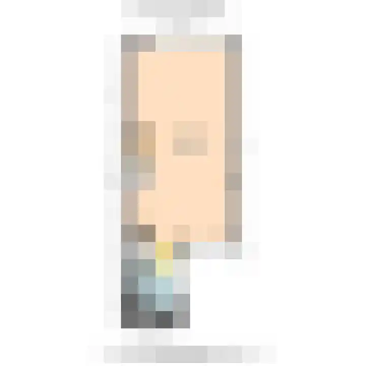 Schouw 49 Schipluiden thumbnail 7