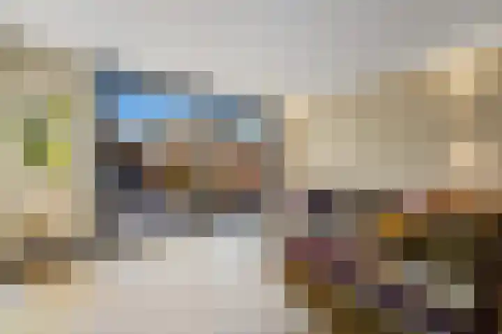 Schouw 49 Schipluiden thumbnail 9