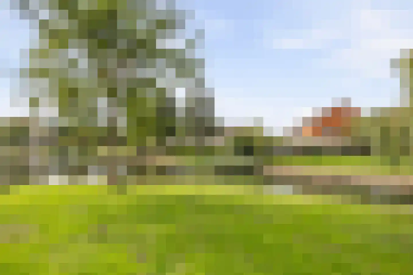 Schouw 50 32 Lelystad thumbnail 8