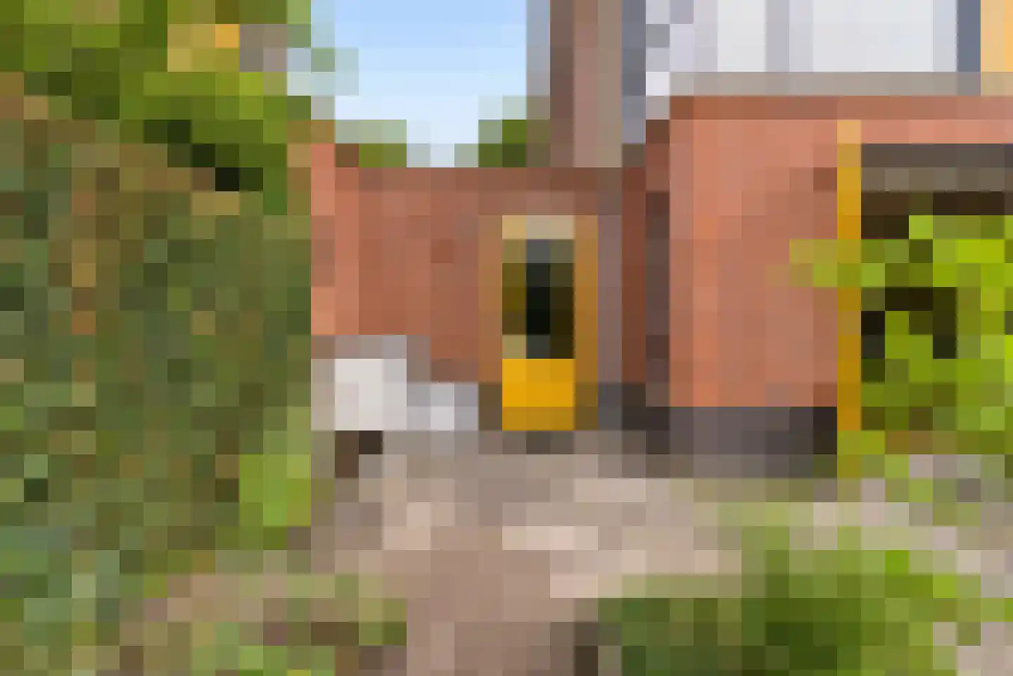 Schouw 54 58 Lelystad thumbnail 37
