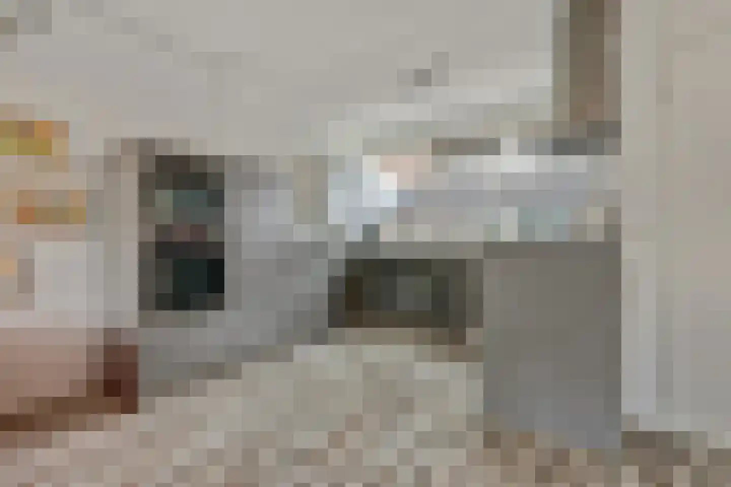 Schouw 6 Huissen thumbnail 10