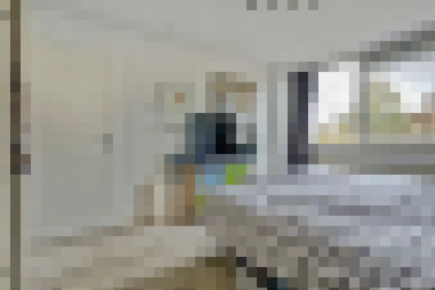 Schouw 6 Huissen thumbnail 14