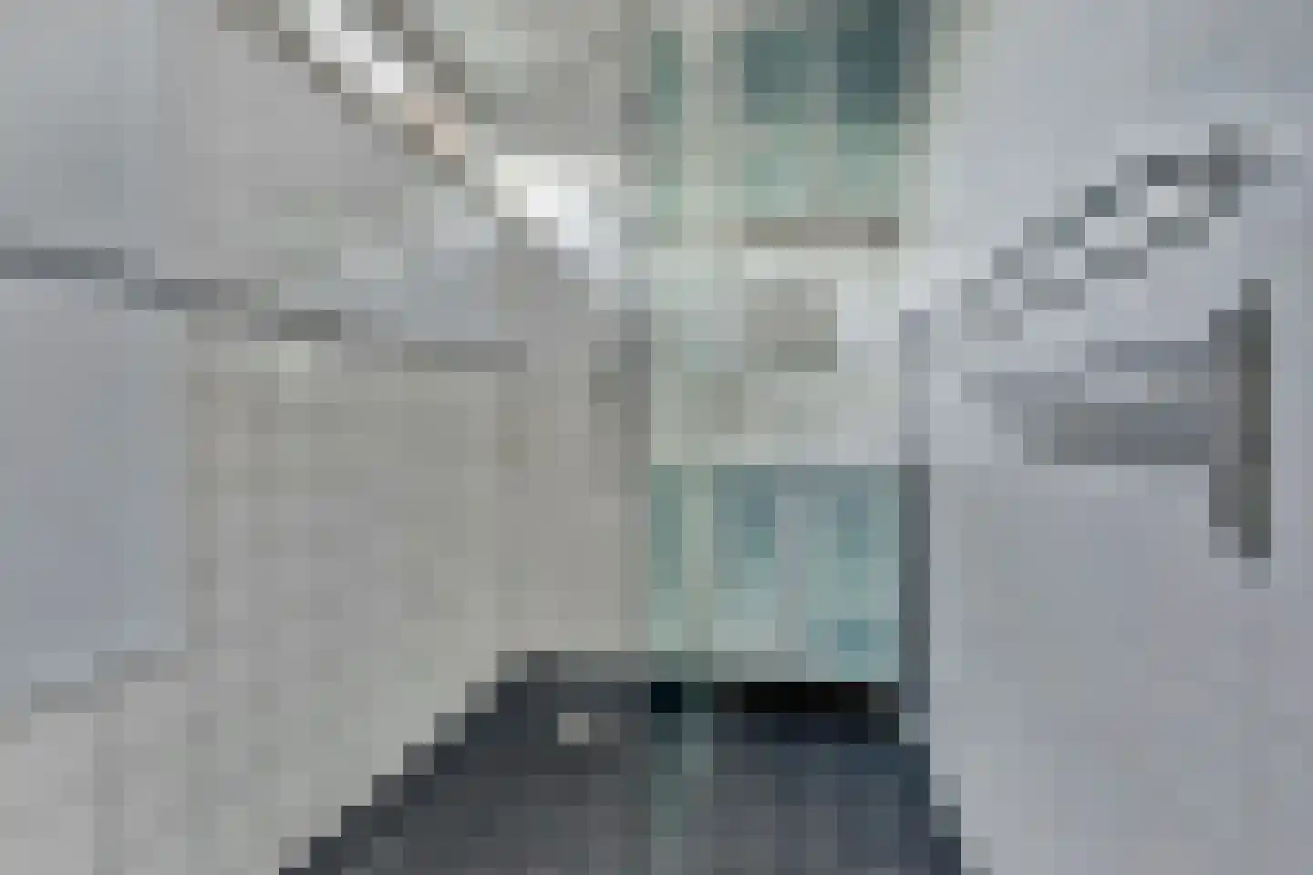 Schouw 6 Huissen thumbnail 15