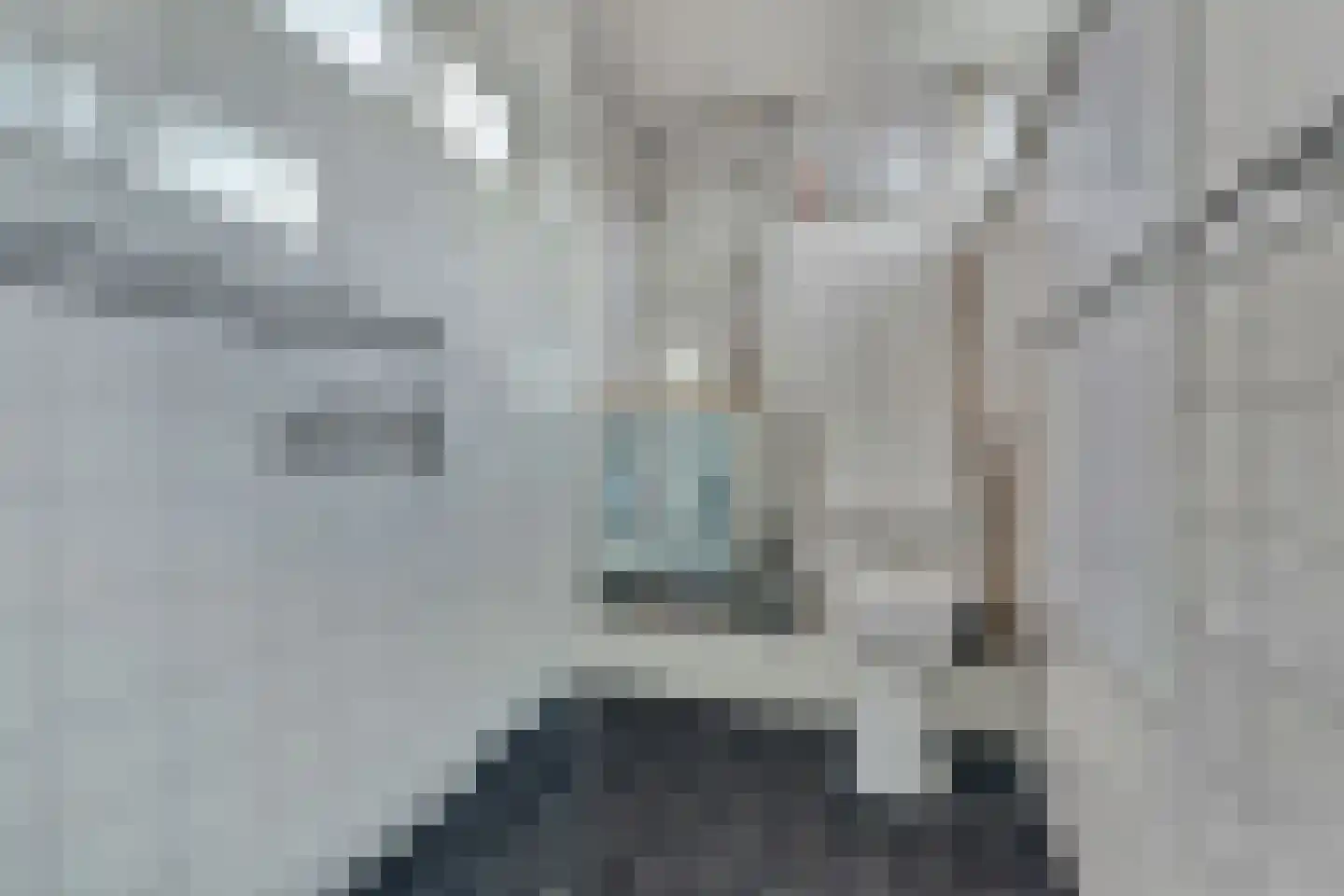 Schouw 6 Huissen thumbnail 16