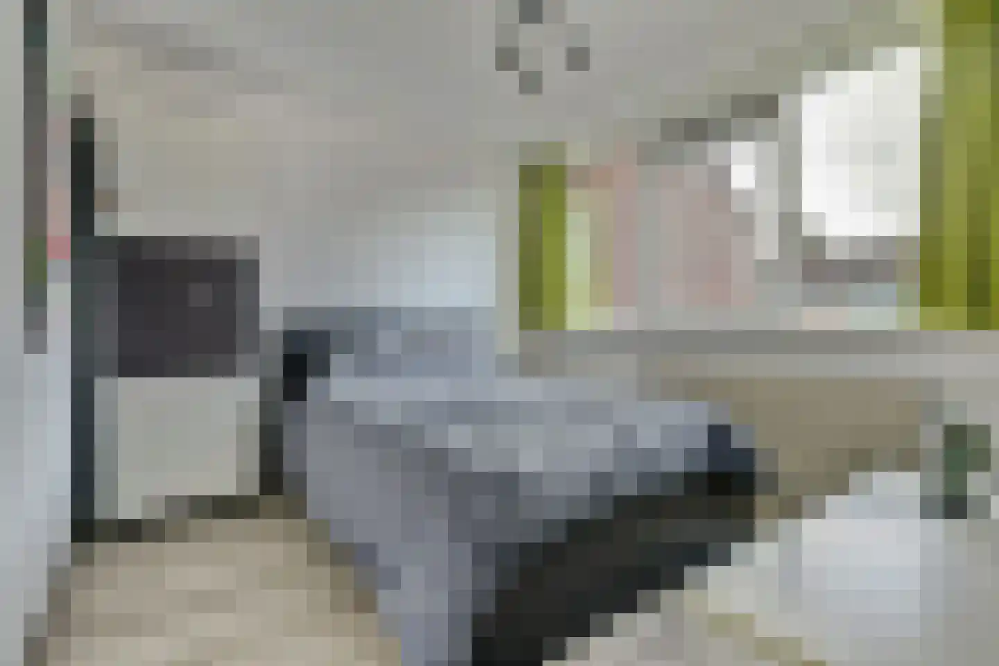Schouw 6 Huissen thumbnail 17