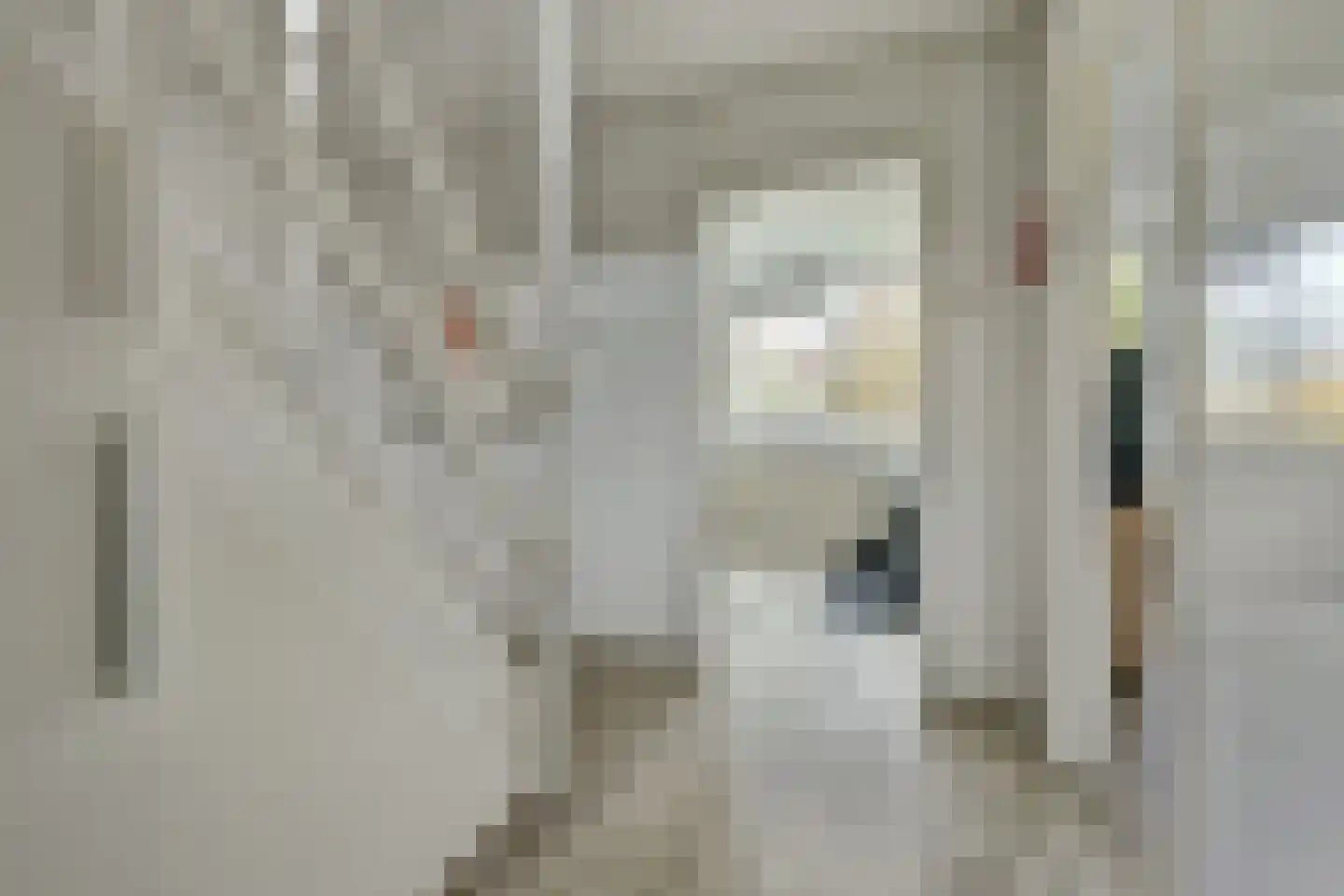 Schouw 6 Huissen thumbnail 20