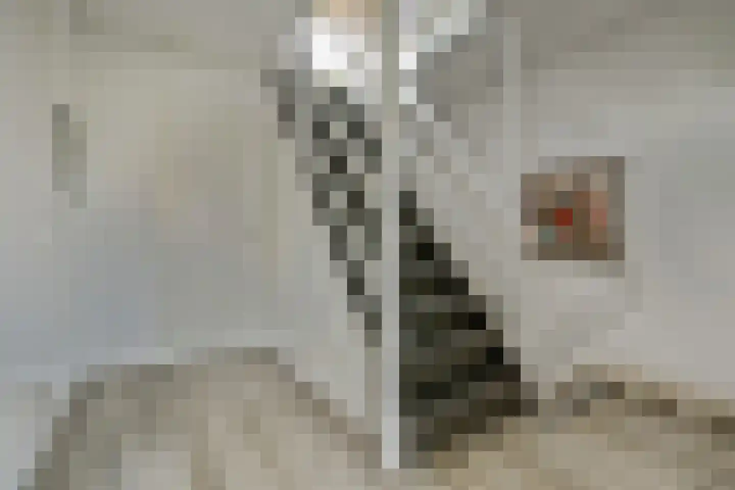 Schouw 6 Huissen thumbnail 25