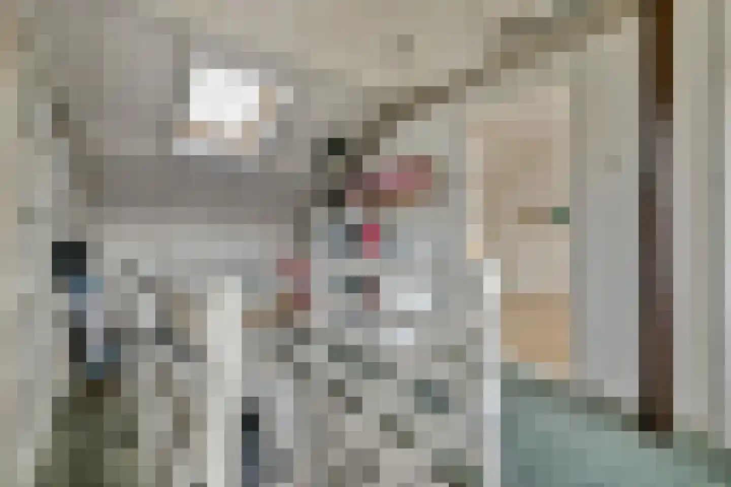Schouw 6 Huissen thumbnail 26