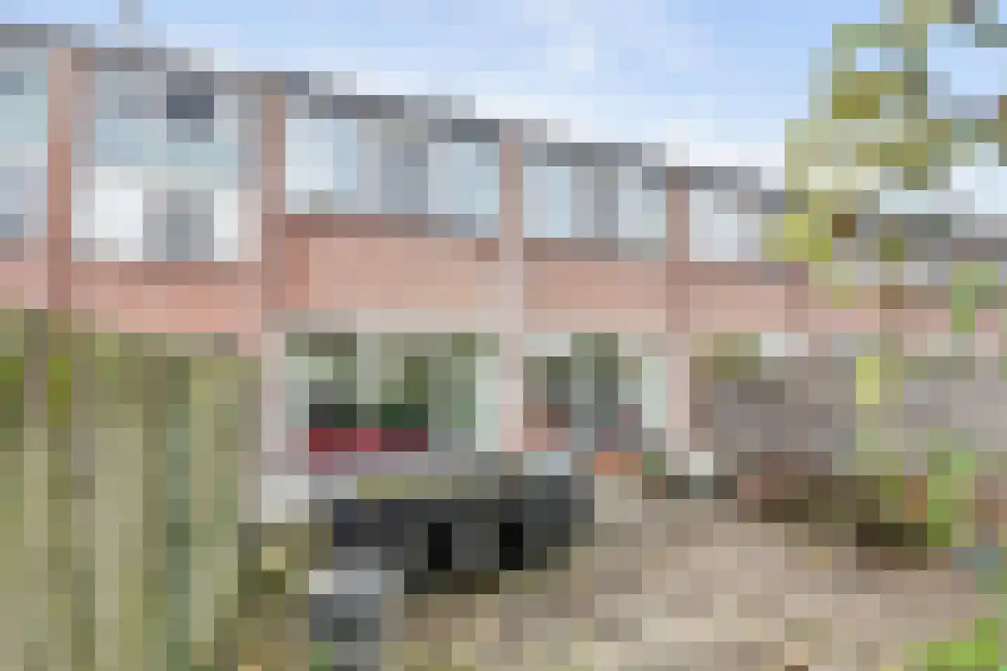 Schouw 6 Huissen thumbnail 32