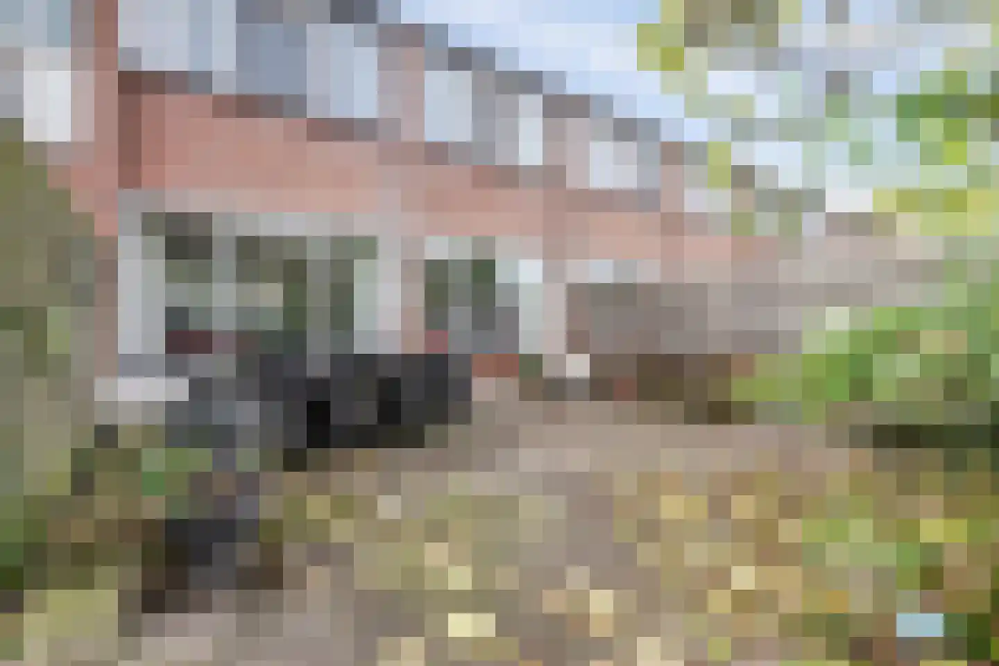 Schouw 6 Huissen thumbnail 33