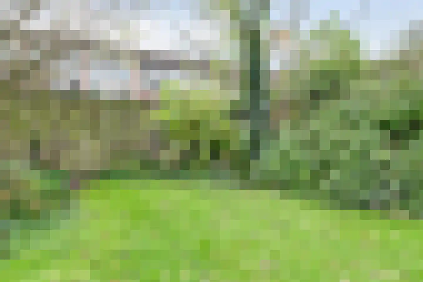 Schouw 6 Huissen thumbnail 36