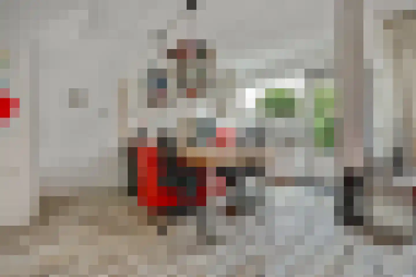 Schouw 6 Huissen thumbnail 6