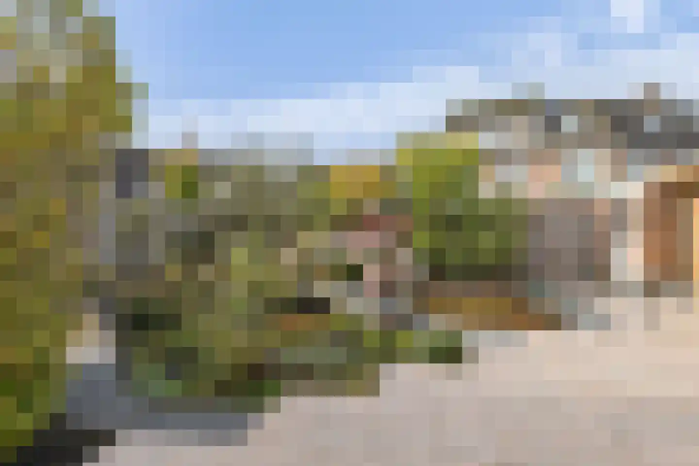 Schouw 61 Barendrecht thumbnail 33