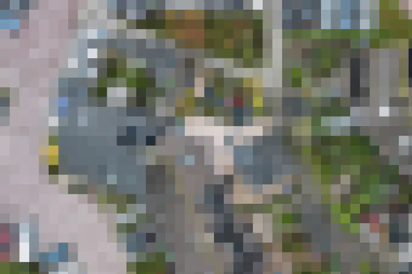 Schouw 61 Barendrecht thumbnail 39