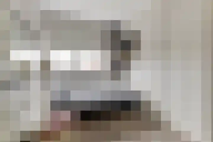Schouw 7 Alphen aan den Rijn thumbnail 17