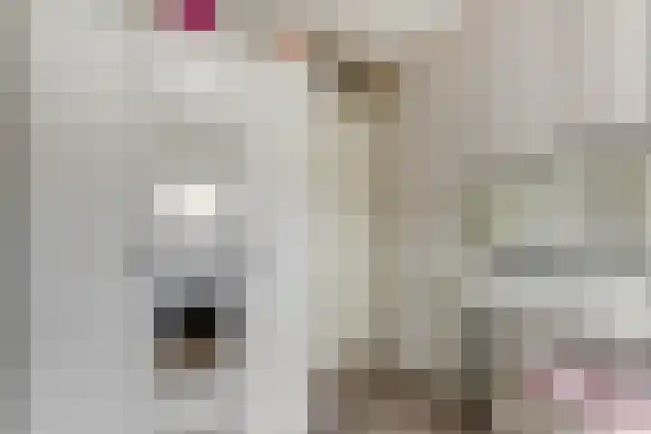 Schouw 7 Alphen aan den Rijn thumbnail 18