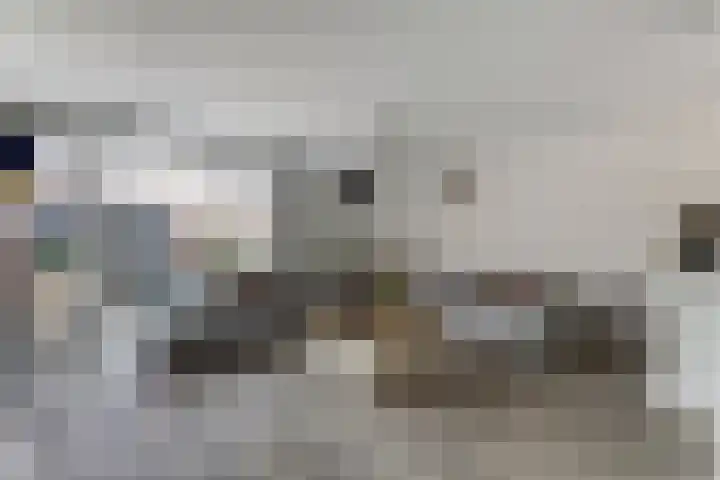 Schouw 7 Alphen aan den Rijn foto 2