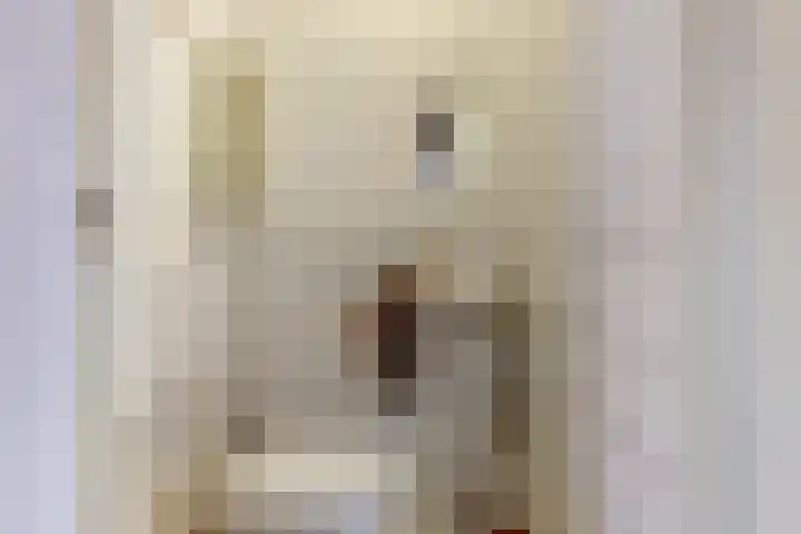 Schouw 7 Alphen aan den Rijn thumbnail 23