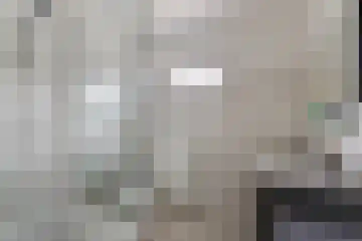 Schouw 7 Alphen aan den Rijn thumbnail 25