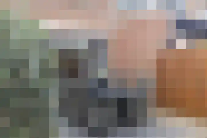 Schouw 7 Alphen aan den Rijn thumbnail 28