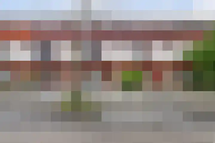 Schouw 7 Alphen aan den Rijn thumbnail 30